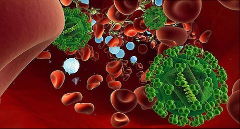 Medical Animation of Hiv And Aids - What is Hiv/Aids