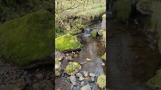 Small waterfall near Spelga Dam, Northern Ireland