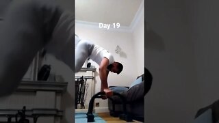 Day 19 - Learning How To Do Handstand Push Ups