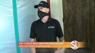 Dry Force Restoration Specialists: Protecting your home from viruses during this crucial time