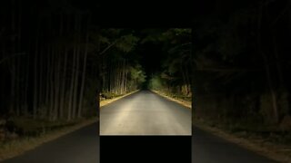 Australia's most haunted Road wakehurst parkway