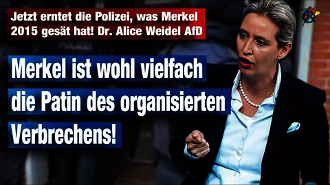 Jetzt erntet die Polizei, was Merkel 2015 gesät hat! Dr. Alice Weidel AfD