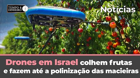Drones em Israel colhem frutas e fazem até a polinização das macieiras. Veja que impressionante!