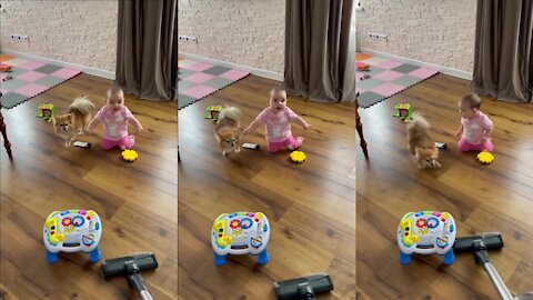 Baby Joins Doggy To Bark At The Vacuum Cleaner