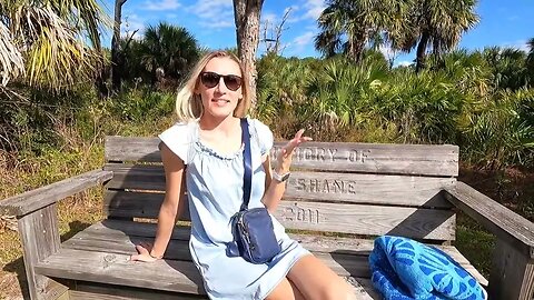 Explore Honeymoon Island State Park: Hiking, Coffee, and Relaxation