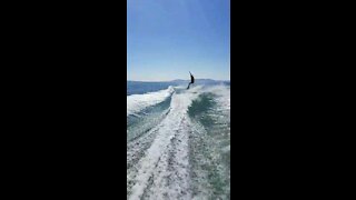 Wake Jump Fail