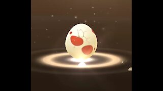 Pokemon Go Strange Egg Hatch 2020-11-20_SPECIAL