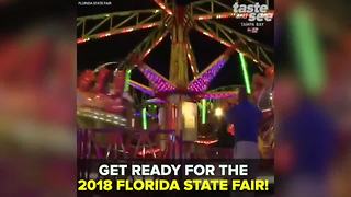 Get ready for the 2018 Florida State Fair | Taste and See Tampa Bay