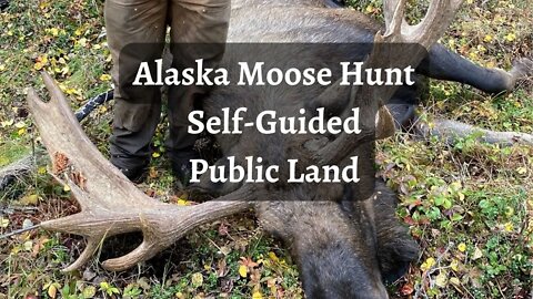 Alaska Moose Hunt | Self-Guided | Public Land | Wild West Trail