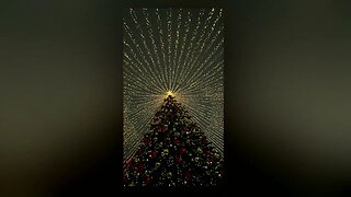 Merry Christmas (Official Audio)