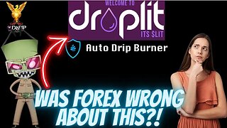 Drip Network Forex Shark building projects for the community how to