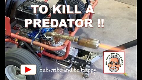 To Kill a Predator