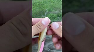 How to rig soft plastic jerk bait!