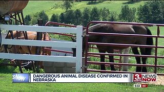 Dangerous animal disease confirmed in Nebraska