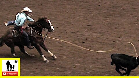 Tie-down Roping 🤠 2022 San Angelo Rodeo | Saturday