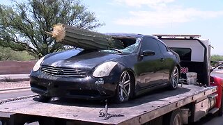 Driver injured after saguaro goes through windshield