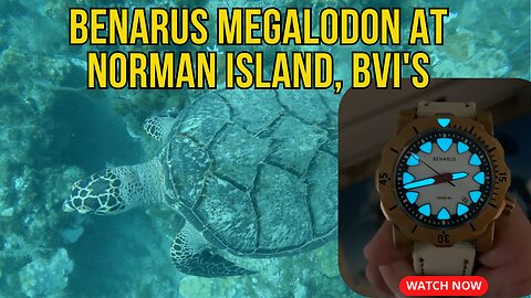 SCUBA Diving Norman Island, BVI's with a Benarus Megalodon (and a Hawksbill Sea Turtle)