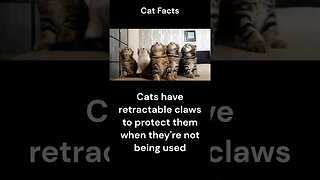 Cat Facts #shorts #youtubeshorts #cat #facts #Humor