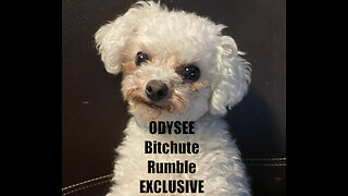 Rumble/Odysee/Bitchute Exclusive Hot Take: Feb 13th 2024 News Blast!