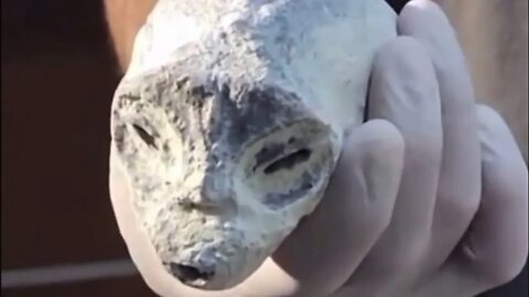 Mexican Government Releases Video of Mummified “Alien” Internal Bone Structure