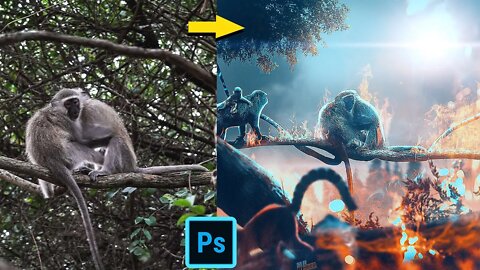 MONKEY EXTINCTION PHOTO MANIPULATION #photoshop #krampahwilson #MRHIRES