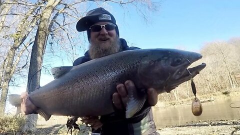 Steelhead On The Reel Michigan Anglers Steelhead Slammer / Spinner Fishing For Fall Steelhead