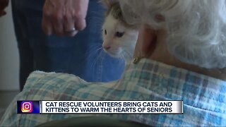 Kittens & therapy cats used to warm the hearts of senior citizens