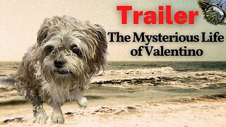 Trailer | The Mysterious Life of Valentino (1.16.21)
