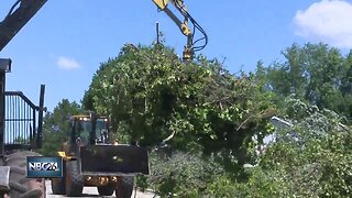 Towns cleaning up after storm damage