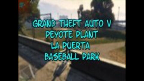 Grand Theft Auto V Peyote Plant #1 La Puerta Baseball Park