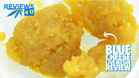 BLUE CHEESE LIVE RESIN REVIEW | REVIEWS 4 U