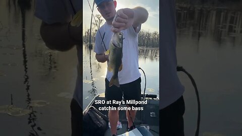 SRO catchin some bass at Ray’s Millpond #southgeorgia #fishing #bass #georgia #shorts