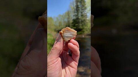 Amazing AGATE found in river!