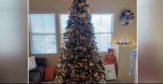 Let It Glow: Viewers' Christmas trees showing off their holiday lights