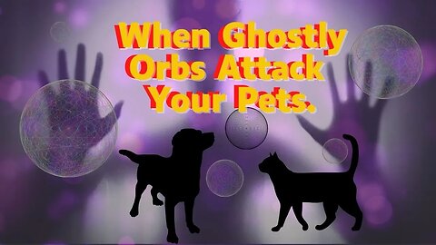Dog harassed by ghostly orbs WHOLE ACCOUNT.