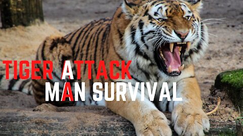 Ohhh Just Survived From Tiger Attacks, took footage from Tree