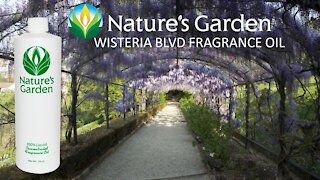 Wisteria Blvd Fragrance Oil - Natures Garden