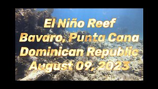 SCUBA Diving El Niño Reef, Bavaro, Punta Cana, Dominican Republic