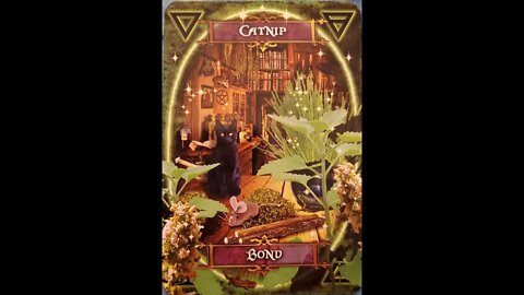 #8 Witches' Kitchen Oracle Cards Catnip