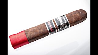 Iconic Leaf Recluse Draconian Robusto Cigar Review
