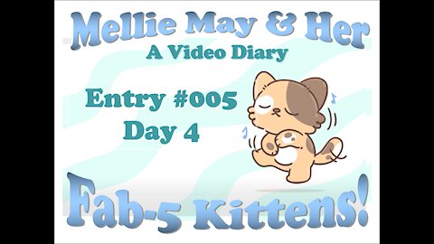 Video Diary Entry 005 - The Cuteness Continues on Day 4