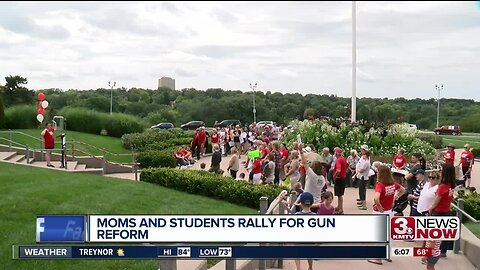 Gun sense rally