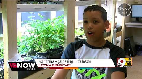 Fifth-graders operate gardening business in economics class at Latonia Elementary