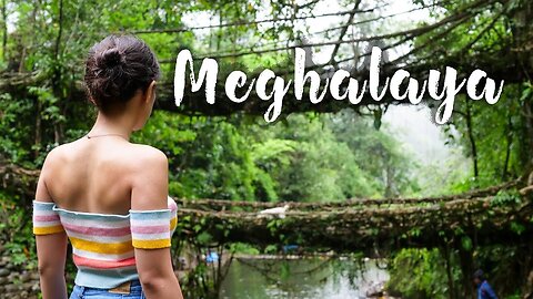 Backpacking In Meghalaya | NorthEast India Trip | Sohra, Living Roots Bridge | Tanya Khanijow