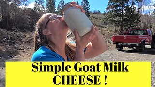 (Homestead Kitchen) Simple Goat Milk Cheese Homestead Style!