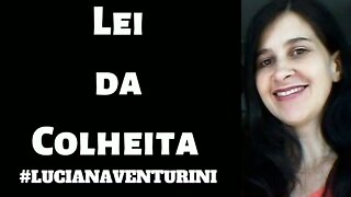 Leis do Universo - Lei da colheita #lucianaventurini #ViverMelhor #enriquecimento #leisdouniverso