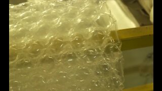 Today is National Bubble Wrap Day!