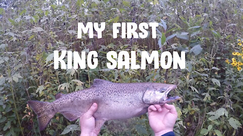 My First King Salmon!