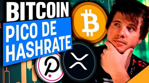 GRANDE CRESCIMENTO DAS EMPRESAS CRIPTO (PICOS NO HASHRATE DO BITCOIN!)