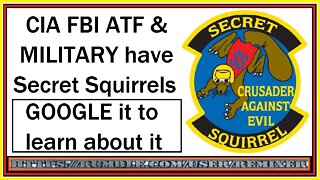 Secret Squirrels